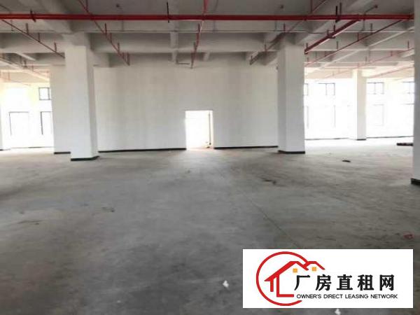  原房东疫情超长免租期单层1210平带装修水电齐全厂房