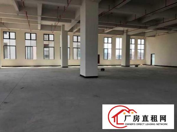  （出租）厚街高端产业园楼上1040平方带装修独立卫生间