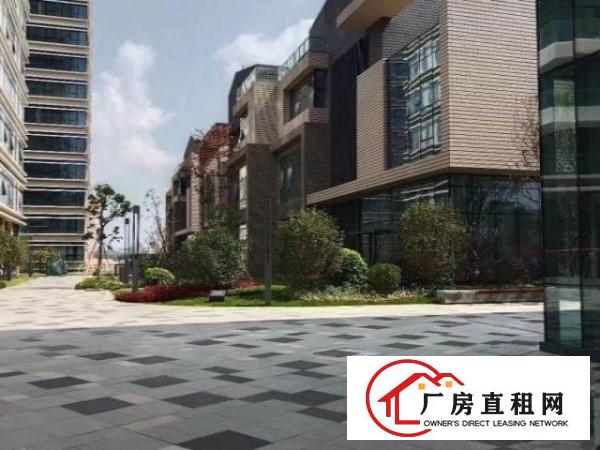  厂房出租，自有厂房房，高档上档次