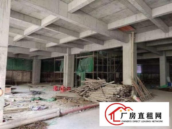  厚街赤岭新厂房整栋招租或分租