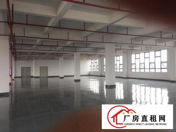  环莞快速路边全新厂房出租