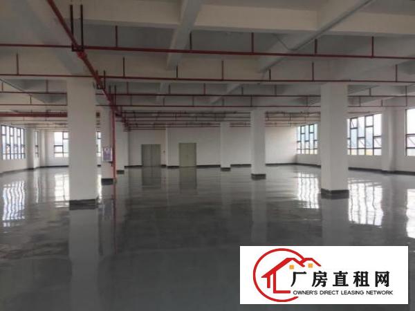  环莞快速路边全新厂房出租
