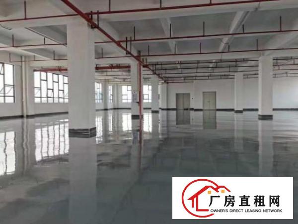  环莞快速路边全新厂房出租