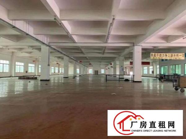  出租厚街镇厚街镇府单价14元起有各种面积的都有