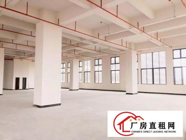  （出租）厚街鑫创动力智能产业园火爆开盘超长免租期