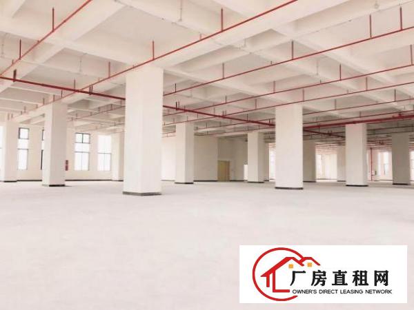  （出租）厚街鑫创动力智能产业园火爆开盘超长免租期