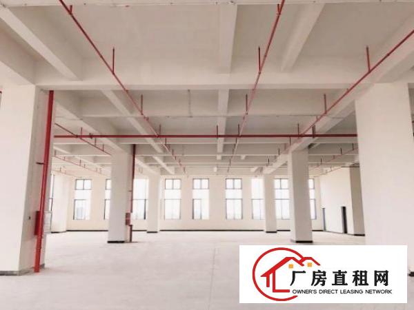  （出租）租金贴补达200万！厚街4万平全新厂房大小由您选