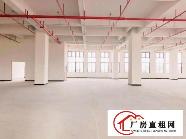  （出租）厚街高端产业园业主直租科技企业租金补贴高达200万