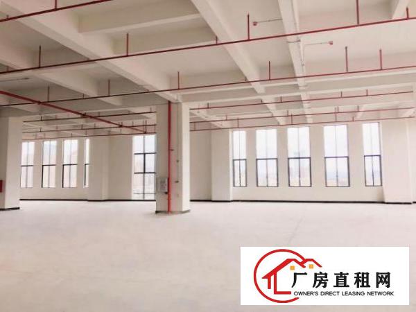  （出租）厚街高端产业园业主直租科技企业租金补贴高达200万