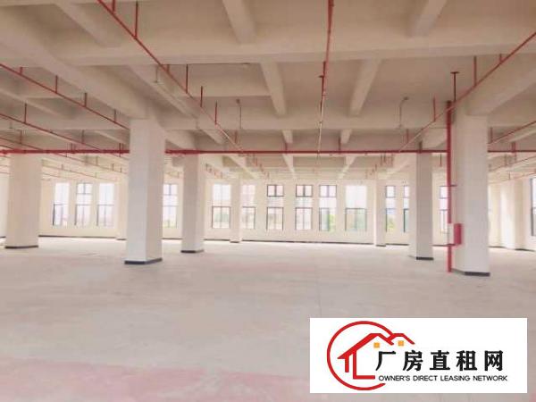  厚街鑫创动力产业园全新厂房出租6米层高采光好