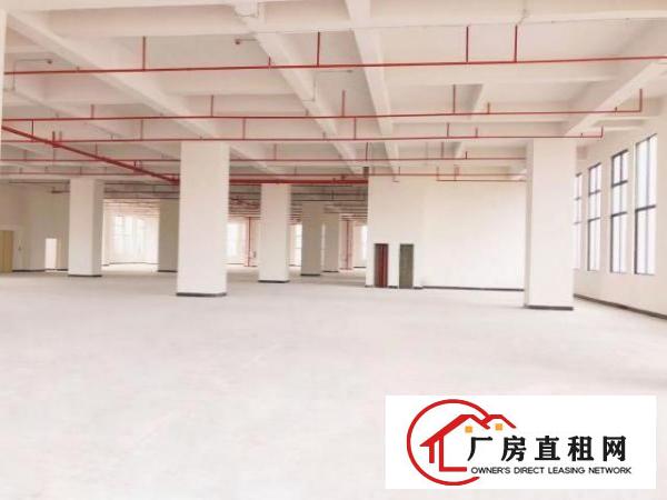  厚街鑫创动力产业园全新厂房出租6米层高采光好