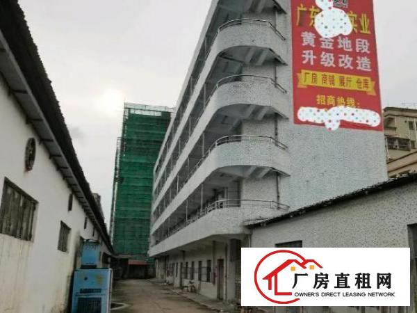  新出～独门独院家具厂房有现成环评环保和油房