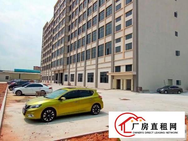  厚街新建全新独院厂房共8层