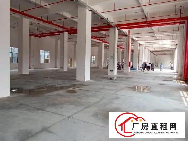  厚街新建全新独院厂房共8层