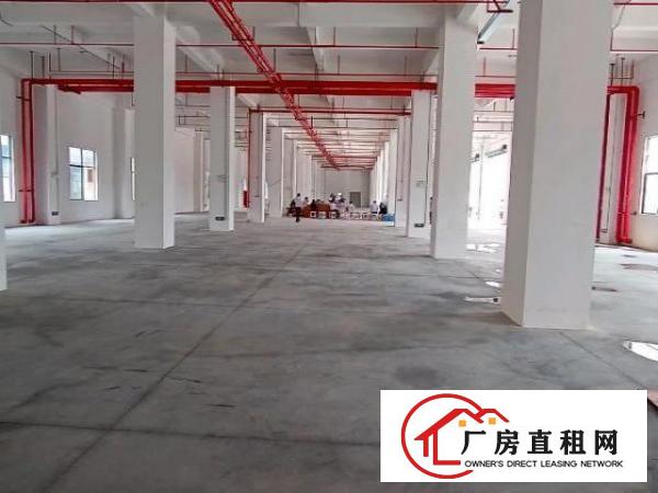  厚街新建全新独院厂房共8层