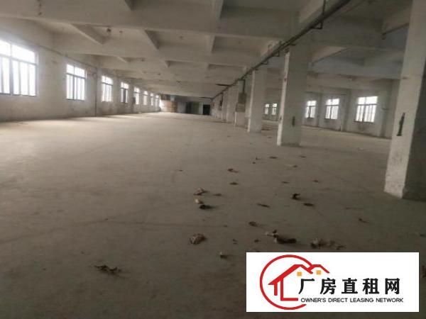  独院工业标准厂房、大小分租、可办环评