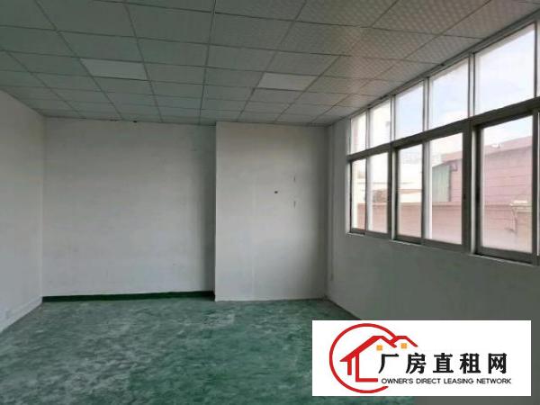  原房东小独门独院带装修厂房
