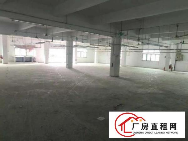 原房东小独门独院带装修厂房