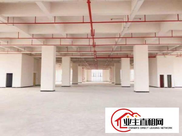  厚街智能智造产业园全新厂房出租3300平带5吨大货梯