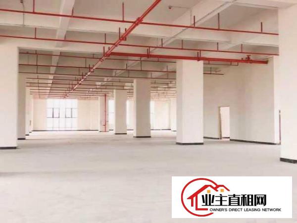  厚街智能智造产业园全新厂房出租3300平带5吨大货梯