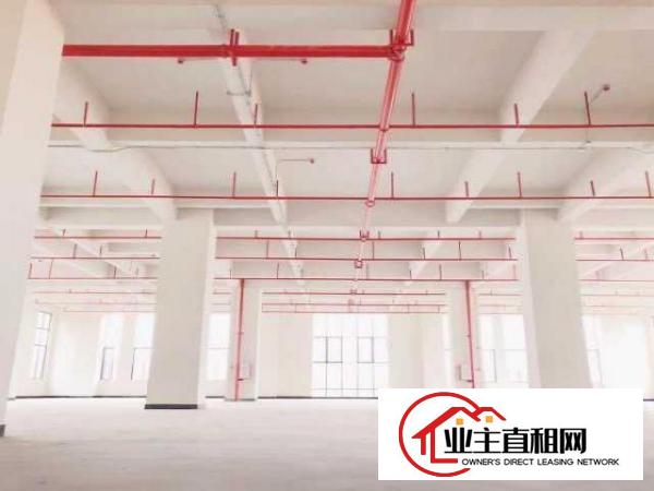  厚街智能智造产业园全新厂房出租3300平带5吨大货梯