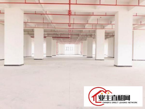  厚街智能智造产业园全新厂房出租3300平带5吨大货梯