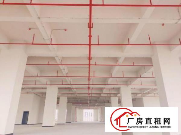  厚街全新厂房出租面积由您选、低至10元起