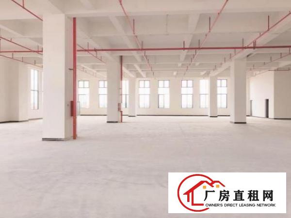  高新科技企业孵化基地厂房出租
