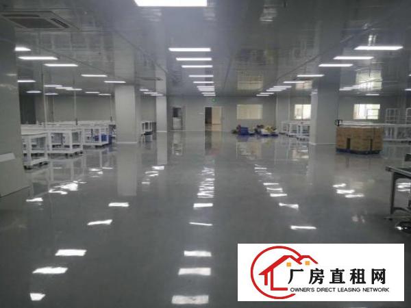  独门独院厂房，原房东出租，全新厂房出租！