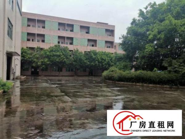  原房东厂房出租！独门独院厂房出租！