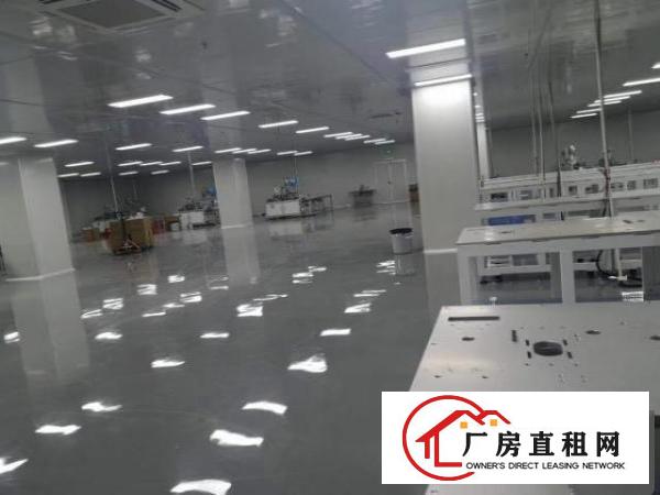  厚街原房东独门独院厂房8000平方。