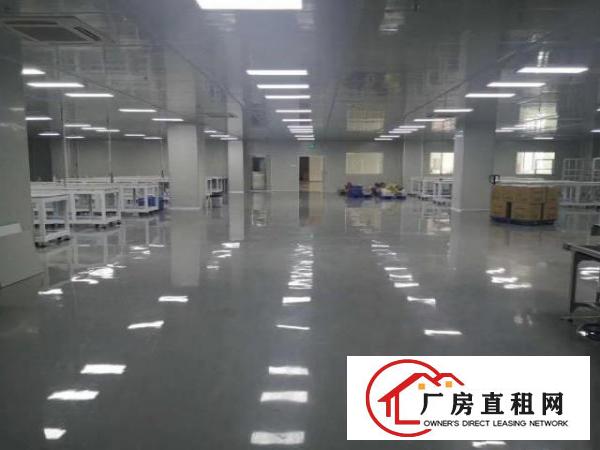  厚街原房东独门独院厂房8000平方。