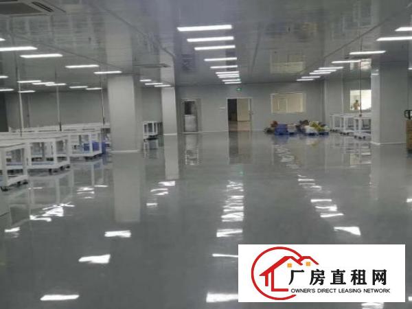  厚街原房东独门独院厂房8000平方。