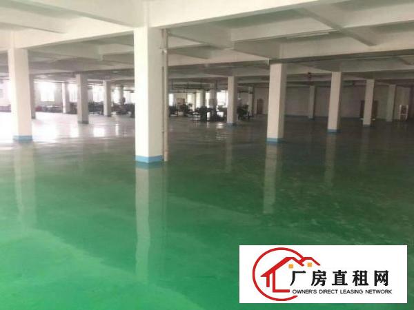 厚街独门独院厂房8500平方对外出租