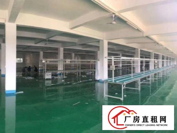  厚街独门独院厂房8500平方对外出租