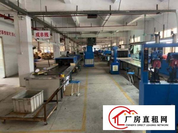  原房东独门独院厂房二楼对外出租