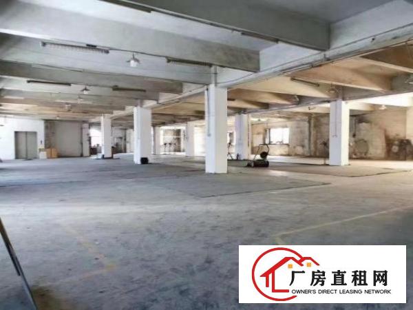  原房东独门独院厂房二楼对外出租