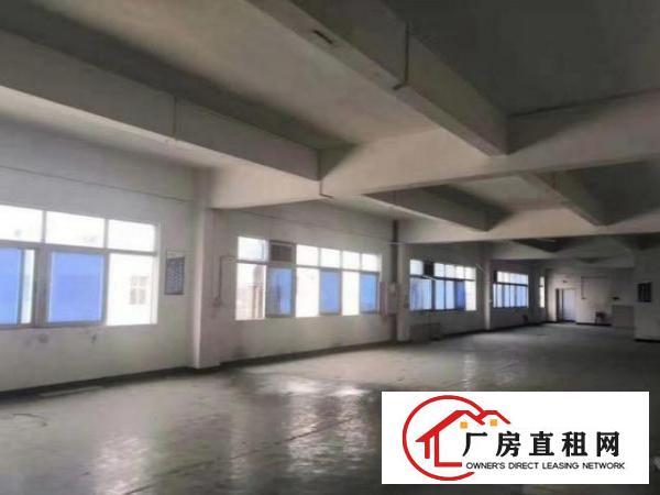  出租厚街横岗水库出租出租