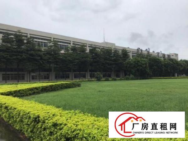  上市企业客户看过来厚街带国有红本花园式厂房