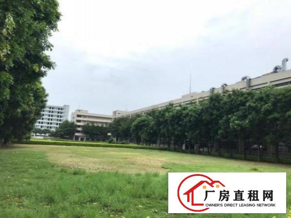  上市企业客户看过来厚街带国有红本花园式厂房