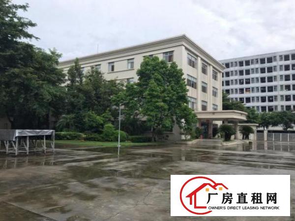  上市企业客户看过来厚街带国有红本花园式厂房