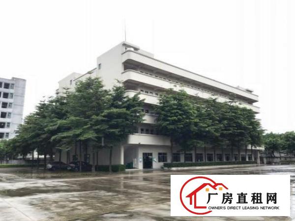  上市企业客户看过来厚街带国有红本花园式厂房
