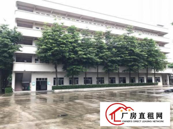  上市企业客户看过来厚街带国有红本花园式厂房