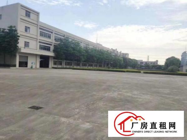  独门独院标准厂房，单一层钢构厂房出租，高度8米