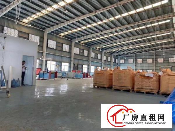  独门独院标准厂房，单一层钢构厂房出租，高度8米