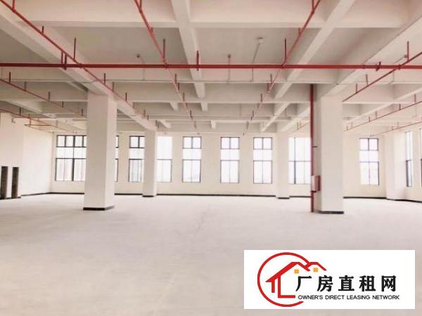  厚街中心区高端产业园全新厂房平价出租