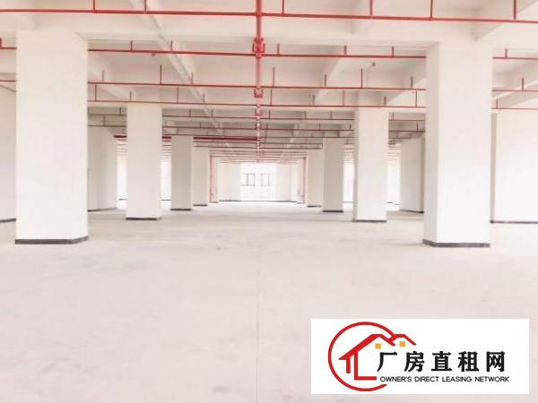  厚街中心区高新技术产业园全新厂房出租租金补贴3年不涨租