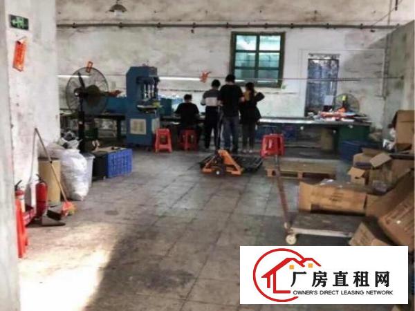 独立独栋单层新更换隔热铁皮房