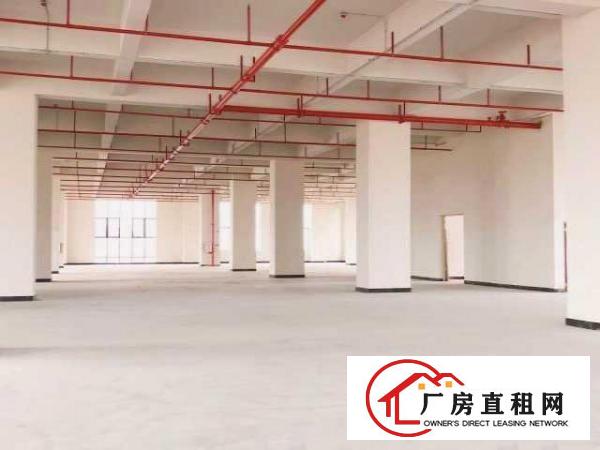  （出租）厚街高端产业园业主直租科技企业租金补贴高达200万