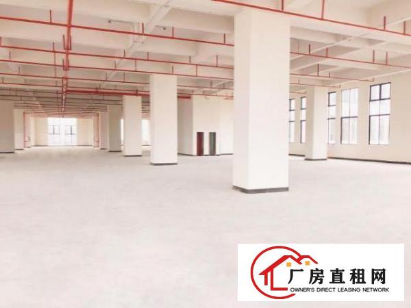  （出租）厚街高端产业园业主直租科技企业租金补贴高达200万